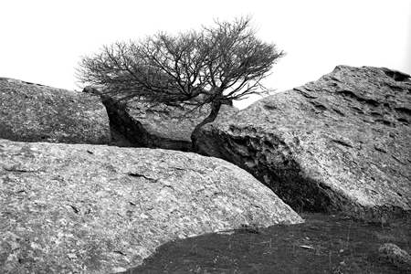 Gobustan