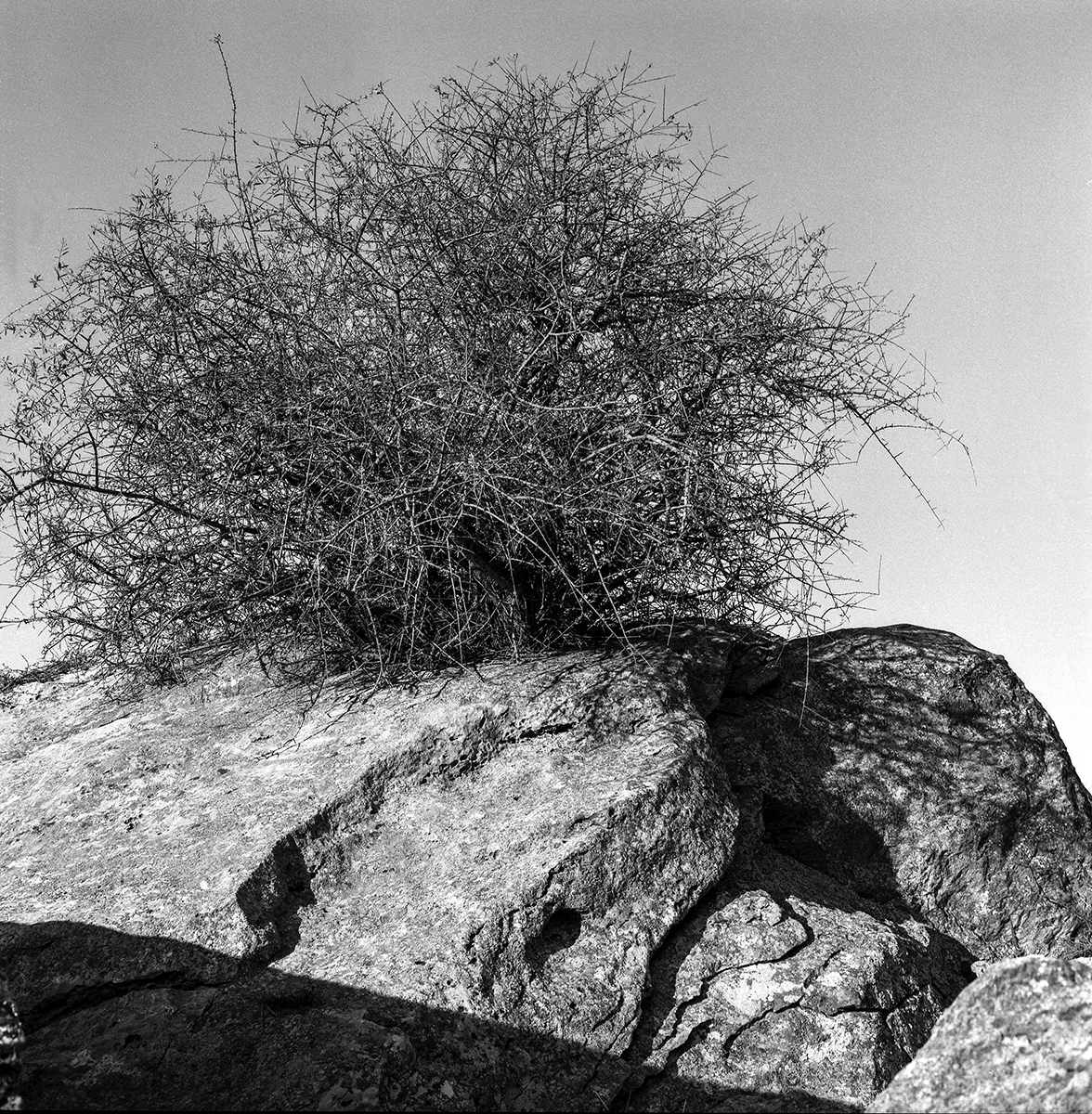 Gobustan
