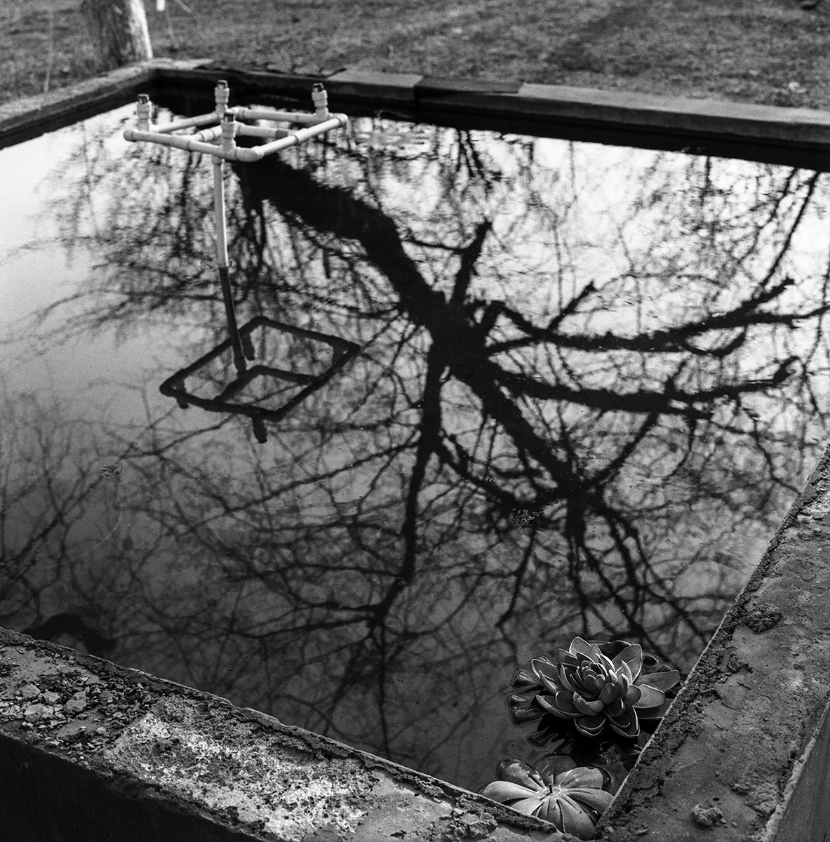 Reflection of Me